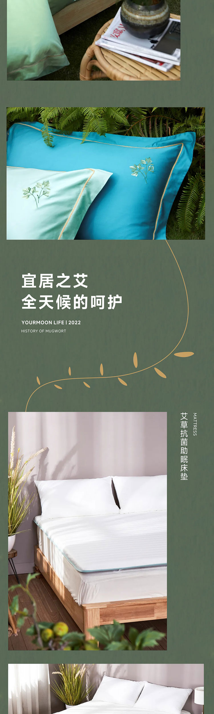 端午艾、艾草这么用有新发现