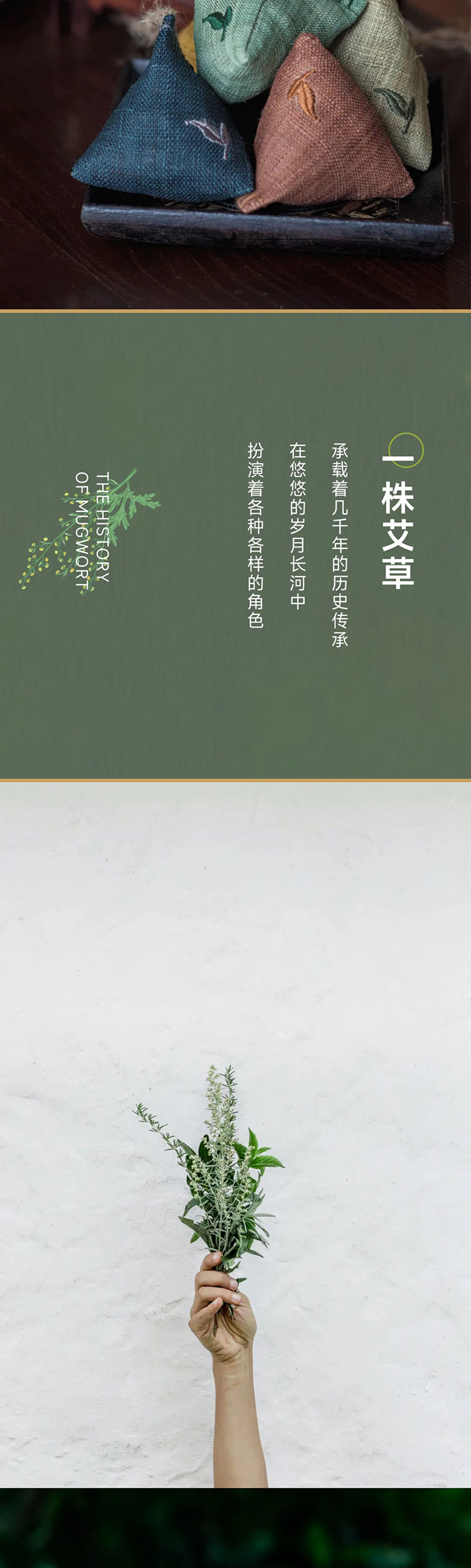 端午艾、艾草这么用有新发现
