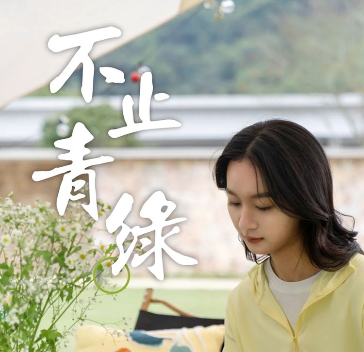 不止青绿，邂逅生活新色调