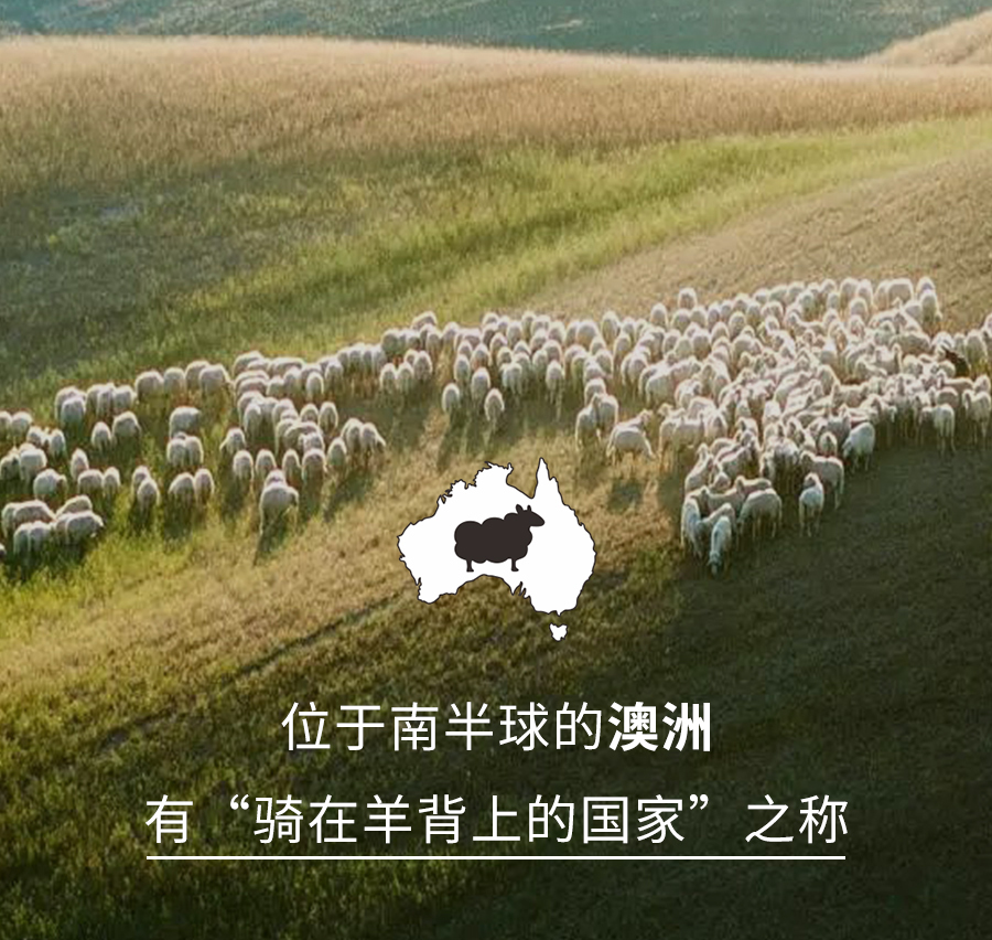 凯时尊龙人生就是博1995澳洲羊毛系列全新登场，温暖入秋冬